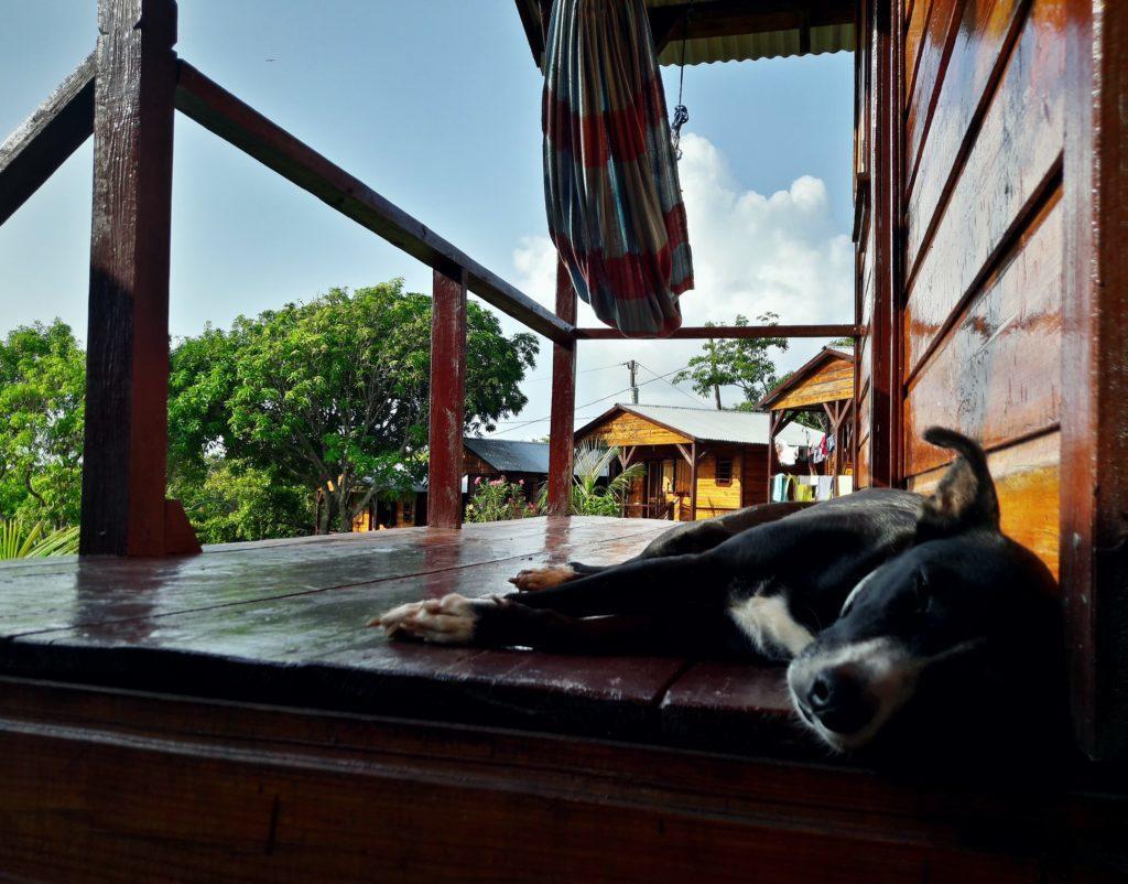 Hotel The Lighthouse Little Corn Island Exterior foto